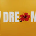 dream