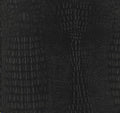 Black Crocodile