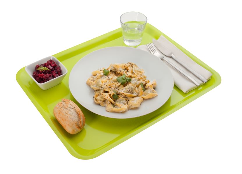 Laminated Platex