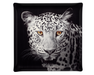 Panther acrylic platform