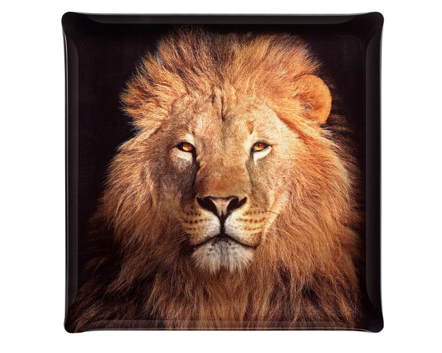 Lion acrylic tray