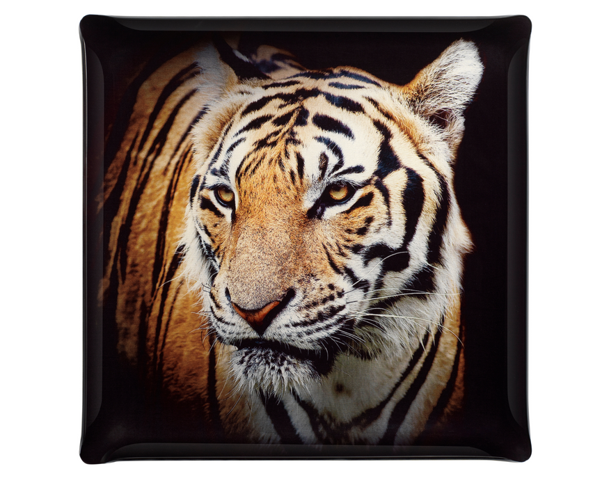 Tiger acrylic tray